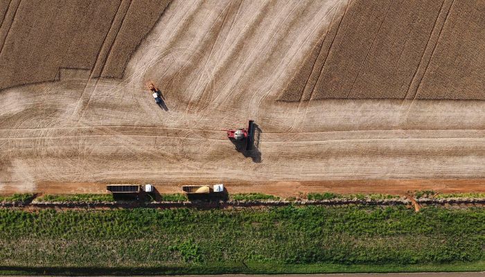  Com alta no PIB, relatório do IBGE consolida Paraná como quarta maior economia do Brasil